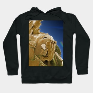 Scary Alien Sci-fi Creature Monster Scifi Hoodie